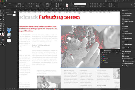webseminar-webinar-druckvorstufe-typeschool-farbaustrag Webinare zu Reinzeichnung, Druckproduktion, Print Produktion Adobe InDesign