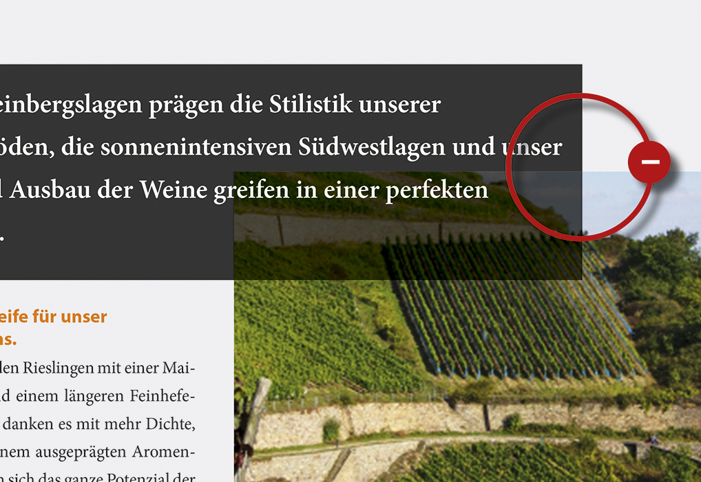 Webinar Reinzeichnung Druckvorstufe