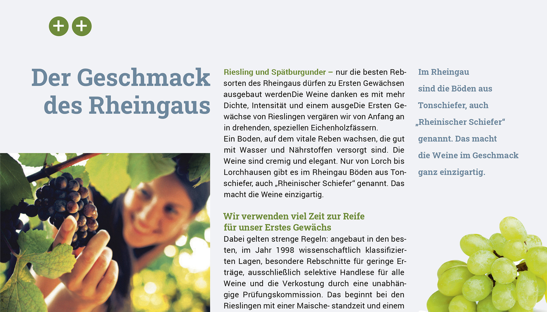 Professionelle Typografie und Layouts durch alinierende Zeilenabstände.