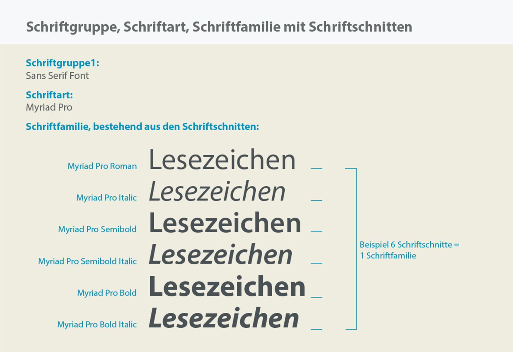 Eine Schriftfamilie besteht aus unterschiedlichen Schriftschnitten